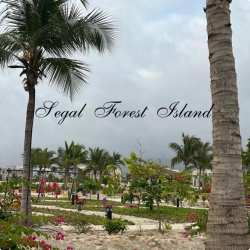 Segal Salalah-Forest Island-Hawana Eksteriør bilde