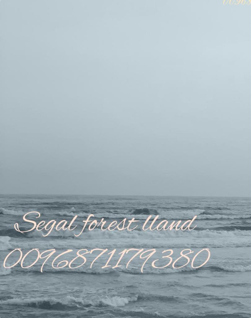 Segal Salalah-Forest Island-Hawana Eksteriør bilde